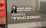 BassetHound1_ca0cc480-1252-44d1-8436-66f0809df8b3