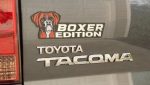 Boxer1_d760bd9e-e5f9-4b9a-837d-245e2d16bf3a