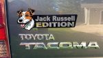 JackRussell1_dd0e0bd1-00e9-48d9-9168-4fa3560bcfa2