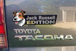 JackRussell1_dd0e0bd1-00e9-48d9-9168-4fa3560bcfa2