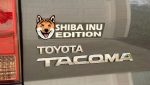 ShibaInu1_ca96727f-d340-46d2-9b28-d2b6773d88ca