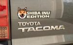 ShibaInu1_ca96727f-d340-46d2-9b28-d2b6773d88ca